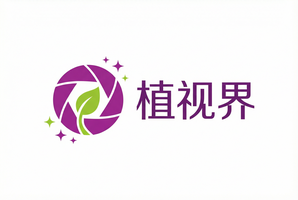 女神视频